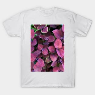 Colored Leaves T-Shirt